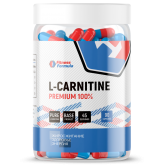 Fitness Formula 100% L-Carnitine Premium 90 капс.