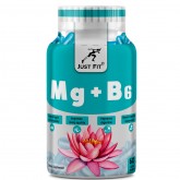 Just fit Mg+B6 60 капс