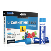 VP Laboratory L-Carnitine liquid 2500